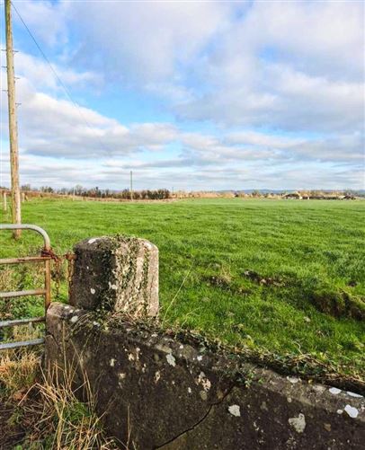 Lands Irishtown, Dunkerrin, Co. Offaly