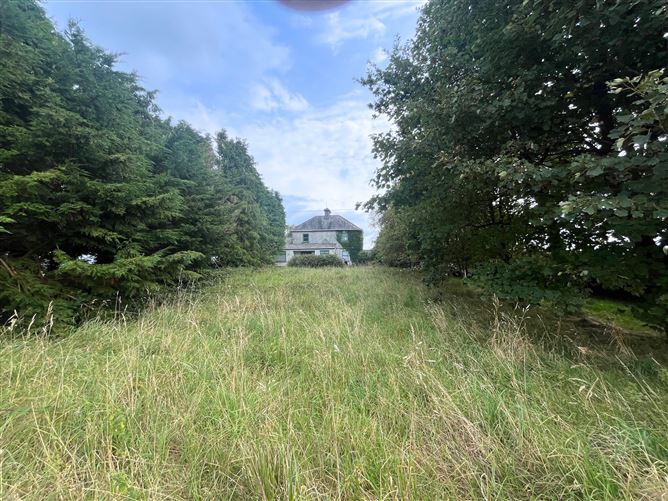 Lehinch Demesne, Hollymount, Mayo