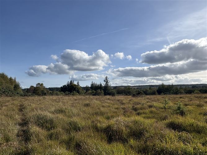 Laggoo, Kylebrack (Moyglass), Loughrea, Co. Galway