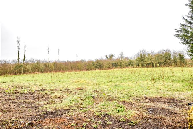 Fortbrown, Lavally, Tuam, Co. Galway