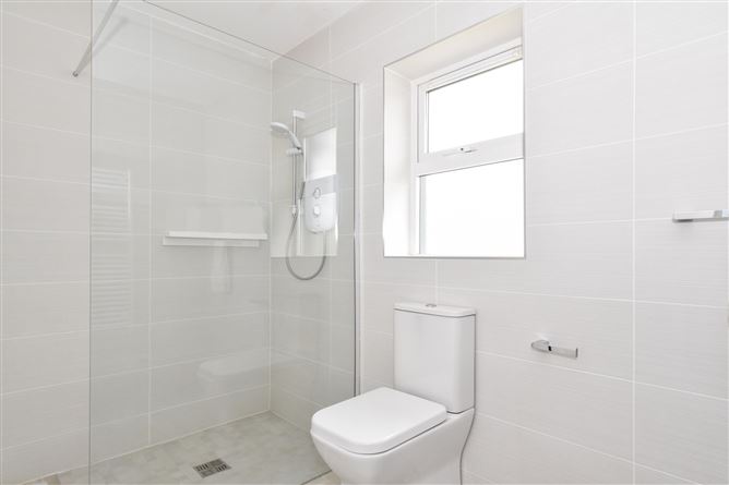 Mountain Ash, Derrydonnell North, Oranmore, Co. Galway