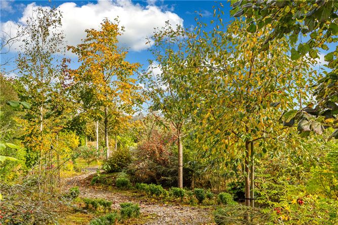 Sycamore Hill, Culmullin, Drumree, Co. Meath