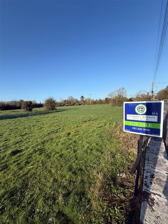 Wolfe Tone Street, Mountmellick, Laois