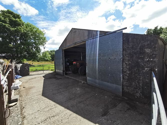 Cashelroyan, Kiltimagh, Co. Mayo Sherry FitzGerald Hanley 4673610