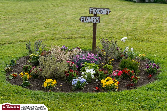 16 Foxcroft Avenue, Portarlington, Laois