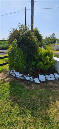 Carrigeen, Kilglass, Roscommon