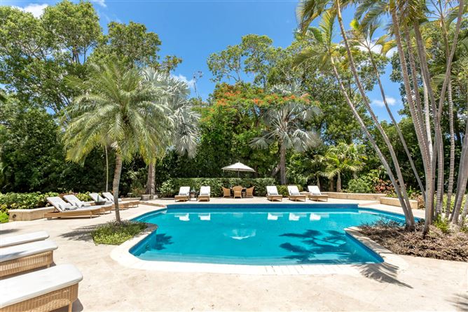 Going Tropical,Holetown,Saint James,Barbados