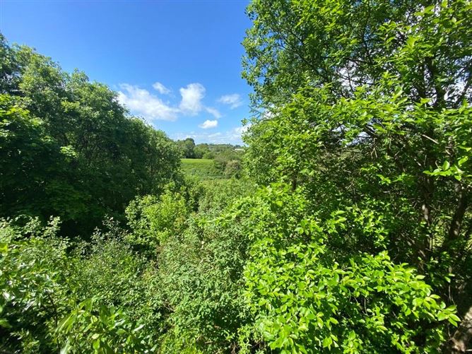 33 Riverside, Coolshannagh, Monaghan