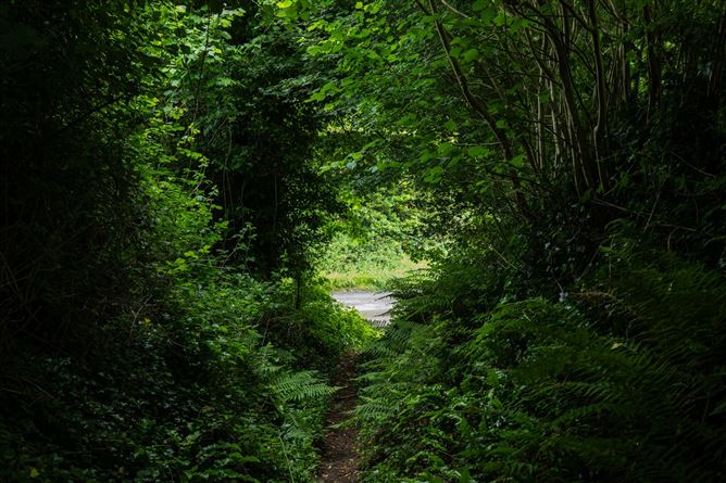 Grange Upper, Ratheniska, Stradbally, Co. Laois