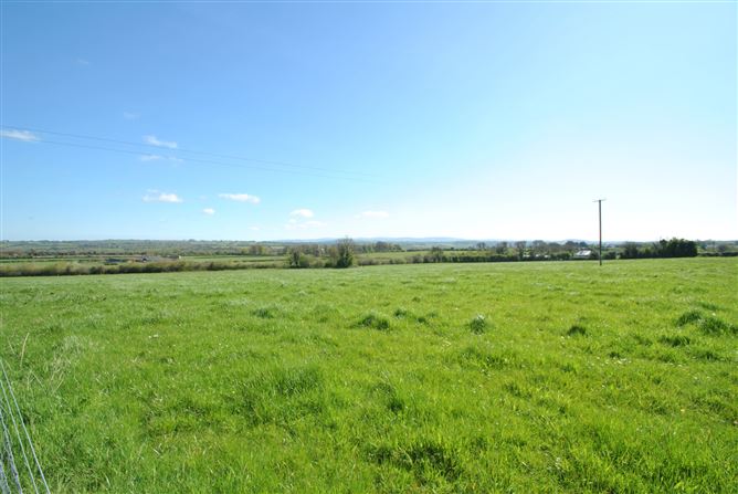 Bramber Lodge and 14.25 Acres, Rathcahill, Shinrone, Birr, Co. Offaly