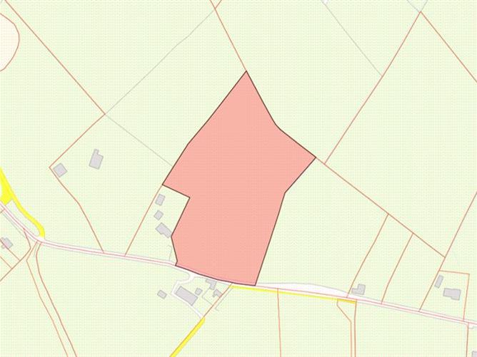 Bramber Lodge and 14.25 Acres, Rathcahill, Shinrone, Birr, Co. Offaly