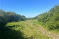 Ballynakilla