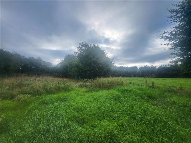 Garranmaconly, Ballybrophy, Borris-in-Ossory, Laois