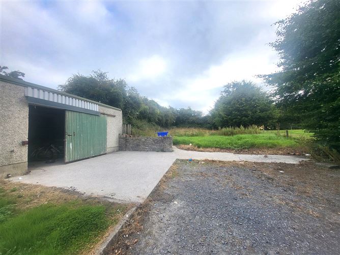 Garranmaconly, Ballybrophy, Borris-in-Ossory, Laois