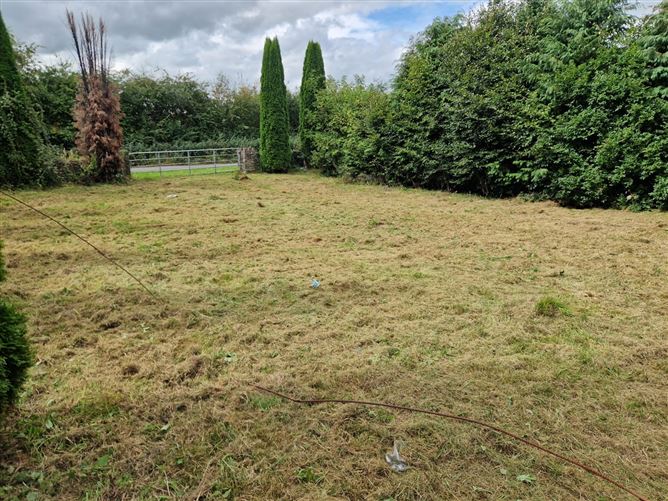 Garranmaconly, Ballybrophy, Borris-in-Ossory, Laois