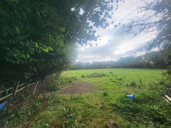 Garranmaconly, Ballybrophy, Borris-in-Ossory, Laois
