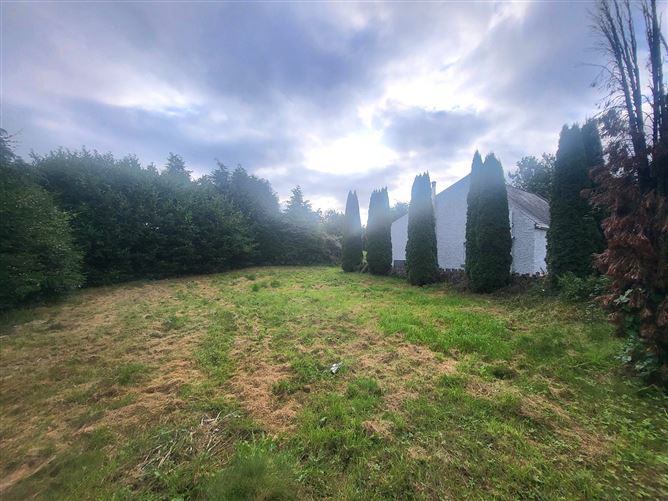 Garranmaconly, Ballybrophy, Borris-in-Ossory, Laois