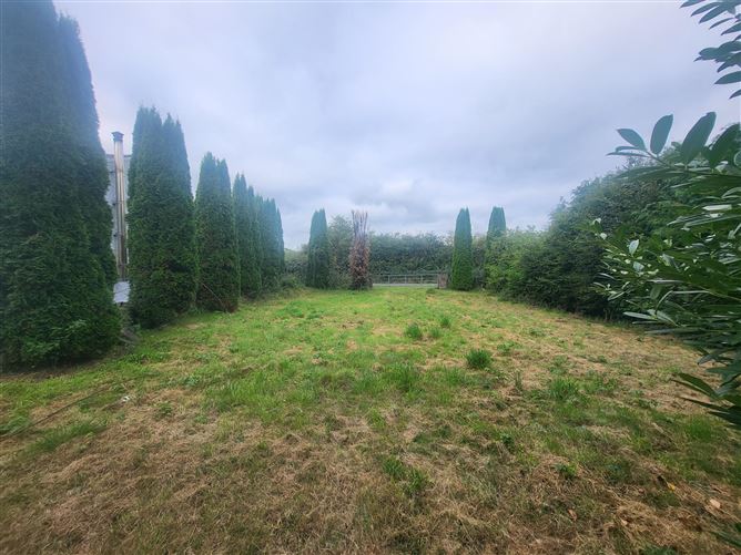 Garranmaconly, Ballybrophy, Borris-in-Ossory, Laois