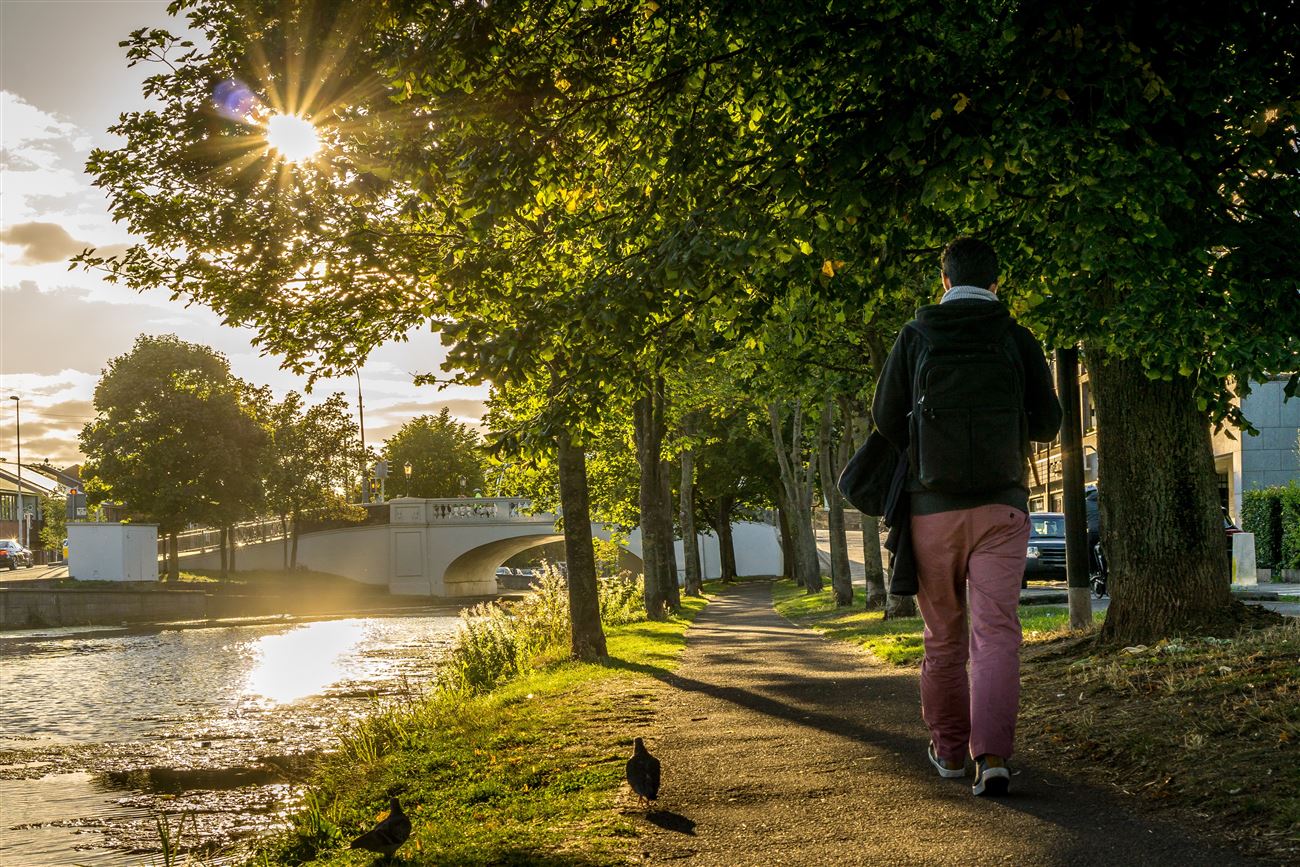 Waterloo Road Ballsbridge Dublin 4