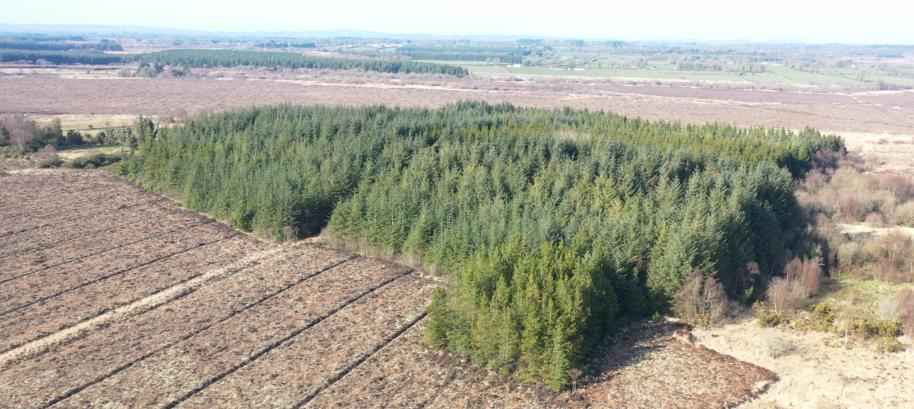 Clooncoose North, Castlerea, Roscommon