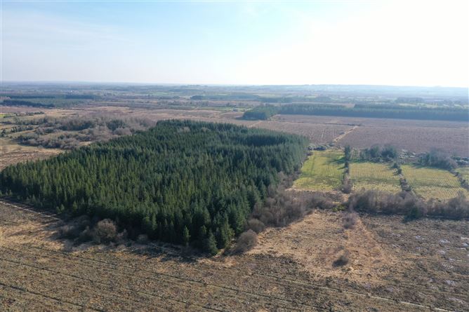 Clooncoose North, Castlerea, Roscommon