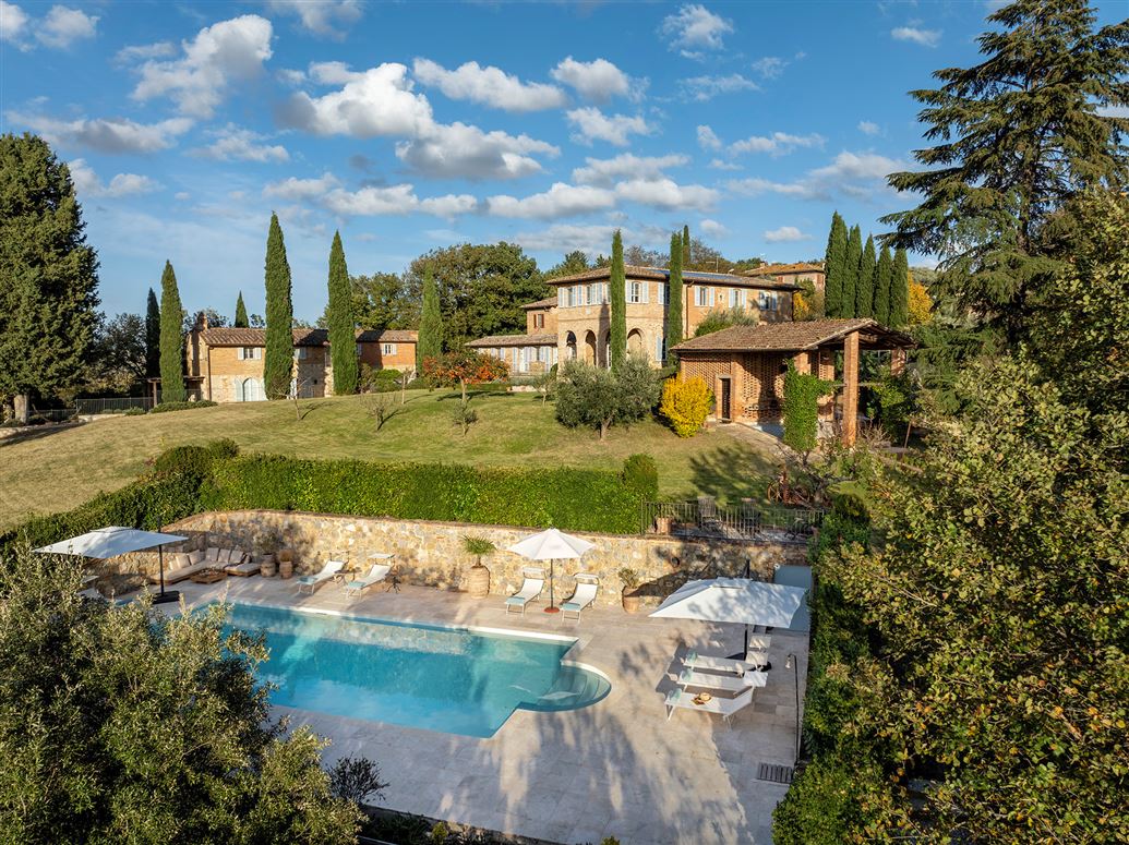 Vernine at Harvest,Montalcino,Tuscany,Italy