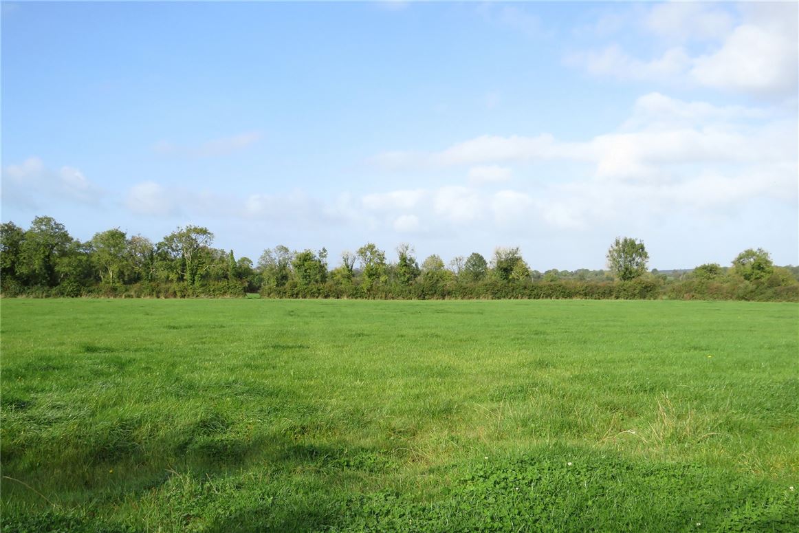 Clonroosk, Feenagh, Kilmallock, Co. Limerick Sherry Fitzgerald (Derry) Walsh 4652910