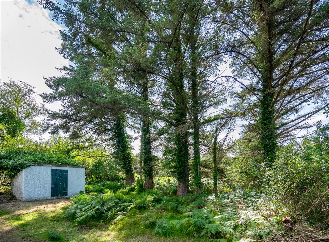 Dirreenacallaugh, Dawros, Kenmare, Co. Kerry