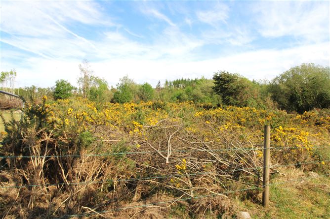 Currinara, Foxford, Mayo