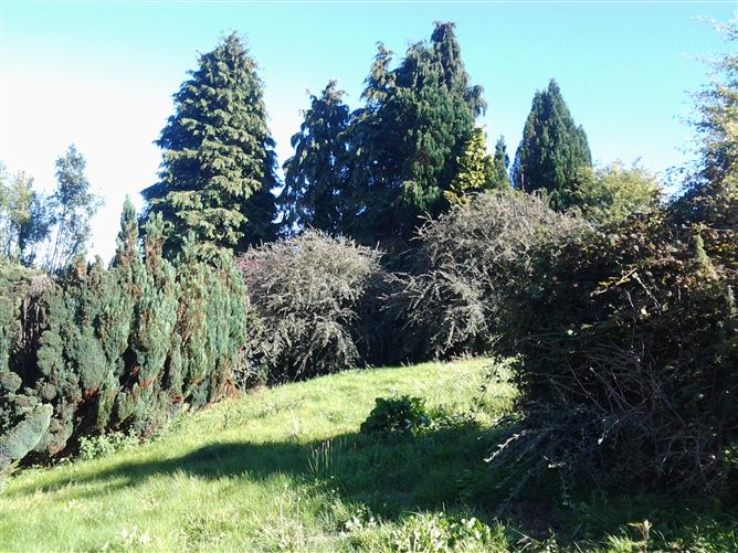 Woodberry, Glenphilipeen, Tinahely, Wicklow