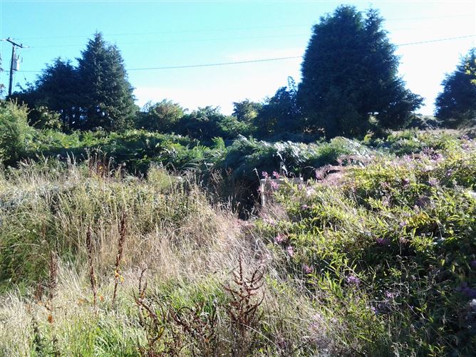 Woodberry, Glenphilipeen, Tinahely, Wicklow