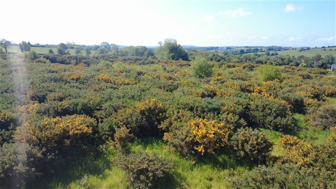 Barnland, Barnlands Hill, Gorey, Wexford