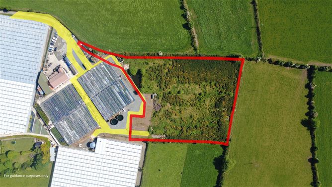 Barnland, Barnlands Hill, Gorey, Wexford