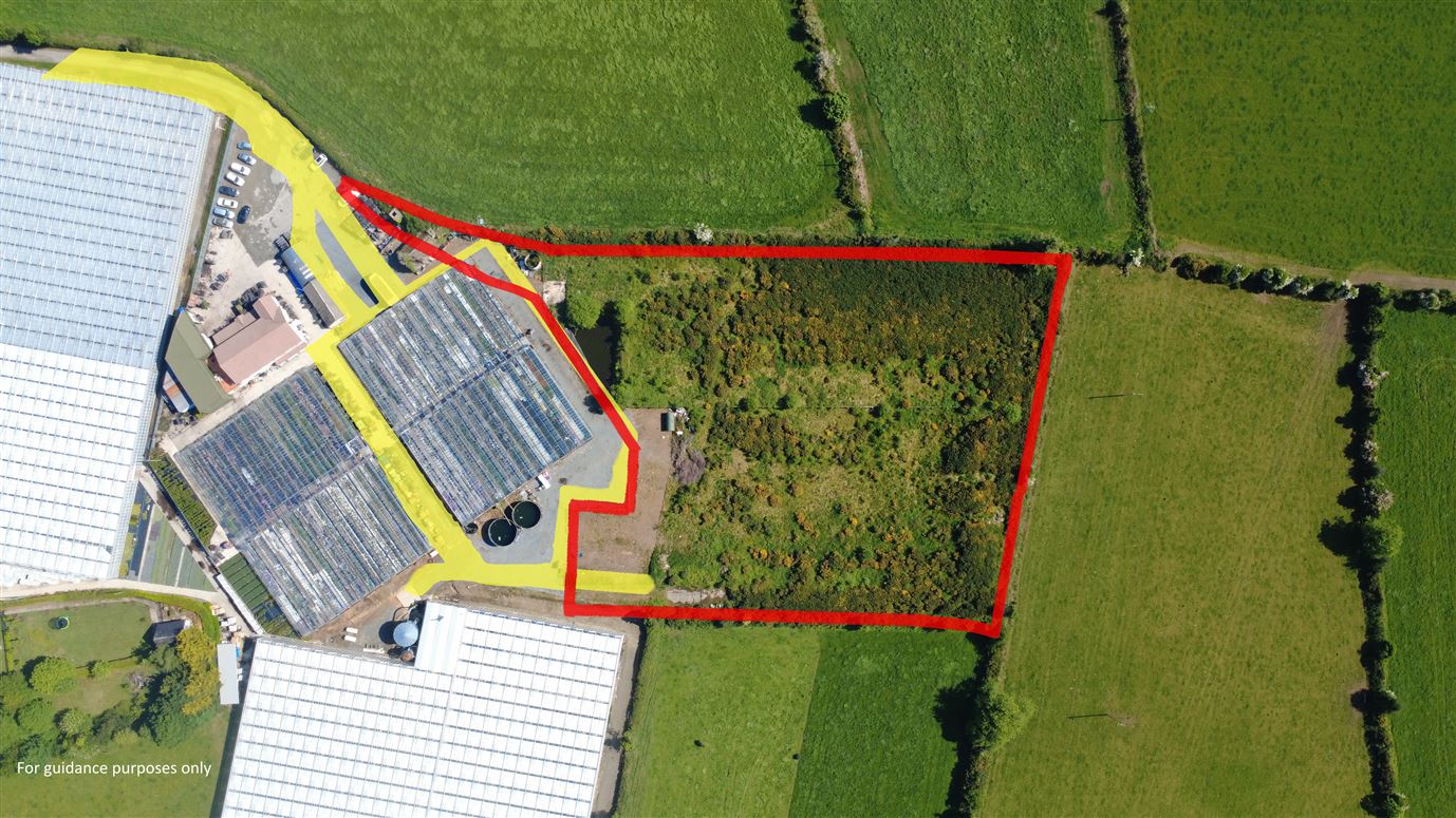 Barnland, Barnlands Hill, Gorey, Wexford