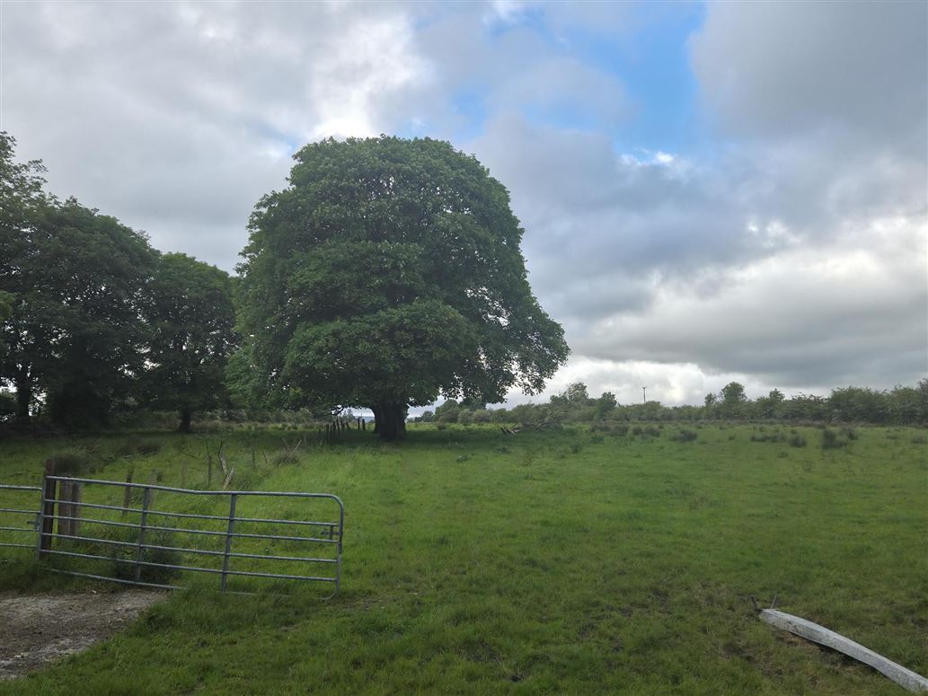 Cashel South, Tubbercurry, Sligo