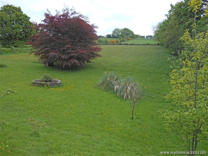 Photo 8 of 13 — Cooldaniel, Toames, Macroom, Co. Cork