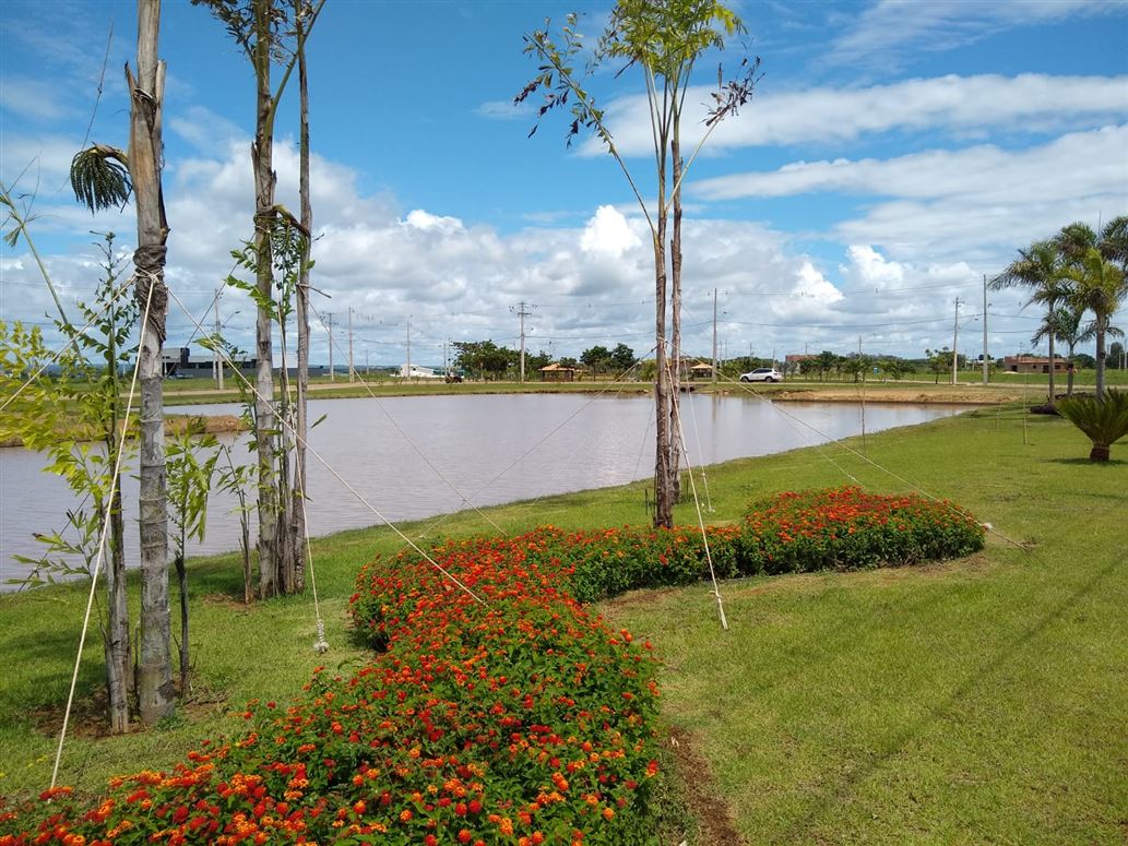 Private, Residencial Bela Vista, São Paulo, Panorama
