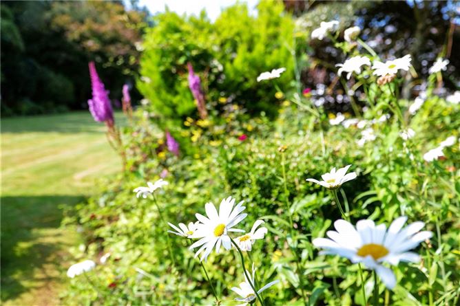 Windyridge, 1 Carraig Ban, Coolough Road, Galway City