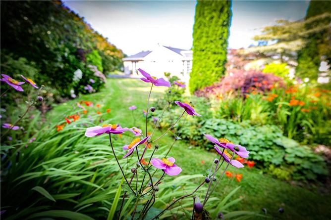 Windyridge, 1 Carraig Ban, Coolough Road, Galway City