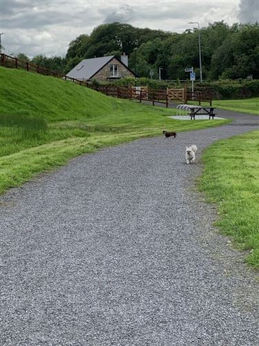 Photo 6 of 14 — Premium Irish Family Homestay, Drumshanbo, Co. Leitrim