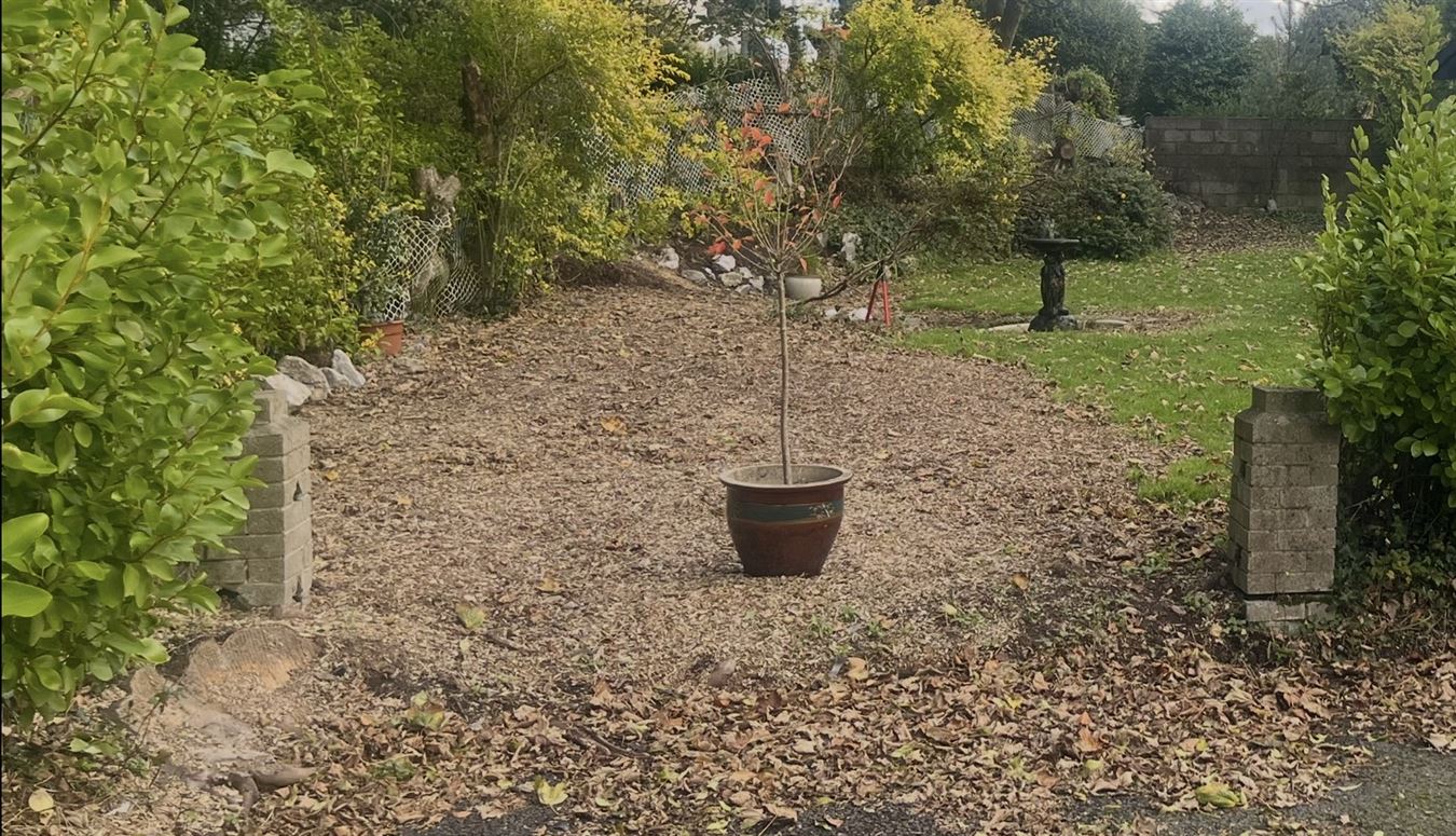 Site at 16 Shrewsbury, Ballinlough, Cork