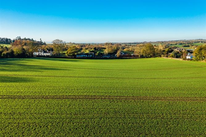 c. 6.47 AC /2.61 HA, Moone, Co. Kildare, KEMOON
