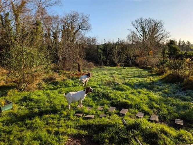 Owengallis, Bawnboy, Cavan
