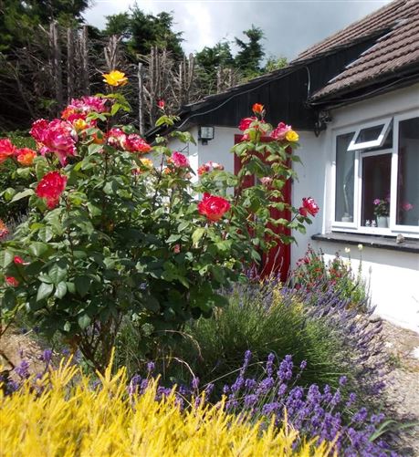 The Cottage, Raheenavine, Rathdrum, Wicklow