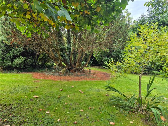 The Cottage, Raheenavine, Rathdrum, Wicklow