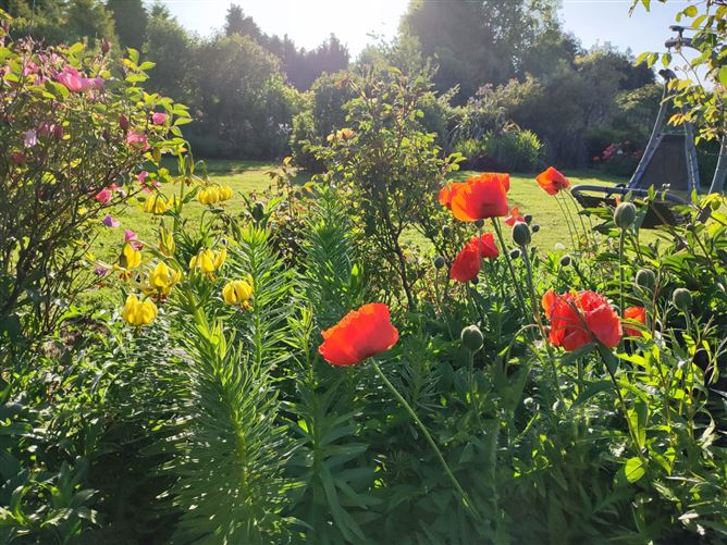 The Cottage, Raheenavine, Rathdrum, Wicklow