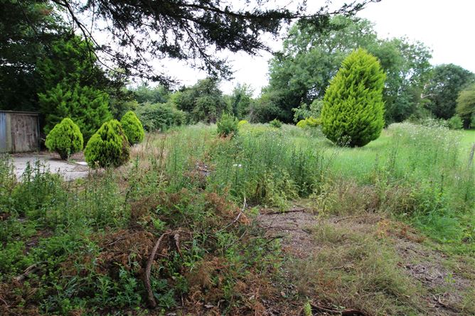Ballybrommell, Fenagh, Carlow