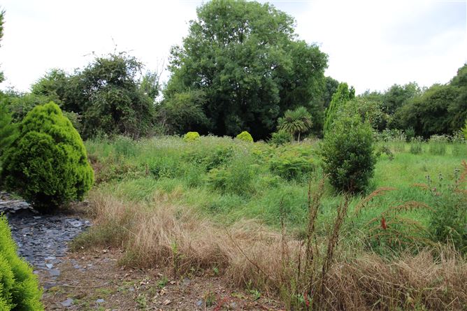 Ballybrommell, Fenagh, Carlow
