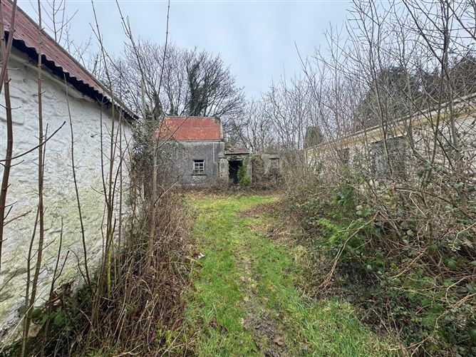 Grange , Campile, Wexford