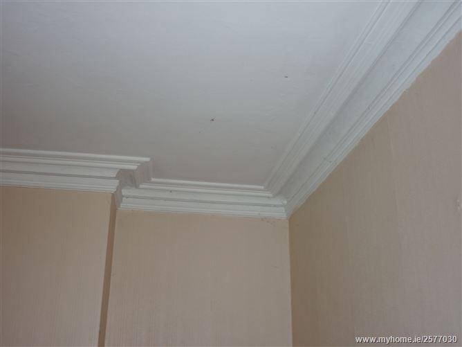 33 Chelmsford Road, Ranelagh,   Dublin 6